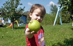 Wer will einen Apfel?