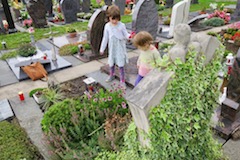 Friedhof am Vormittag
